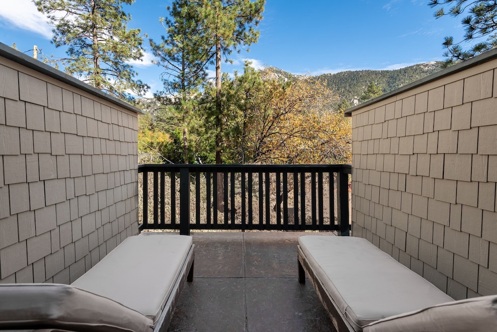 The Grand Idyllwild Lodge 24/50