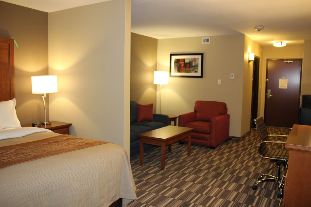 جناح تنفيذي بسرير كينج مع أريكة، Comfort Inn & Suites Edmonton International Airport 2/2