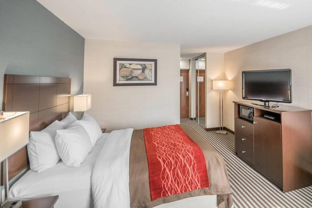 Room, Queen Bed, Accessible