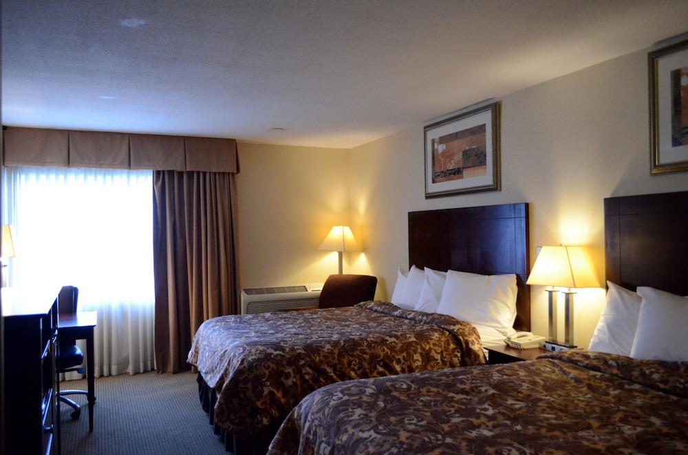 غرفة قياسية بسريرين كوين للمدخنين