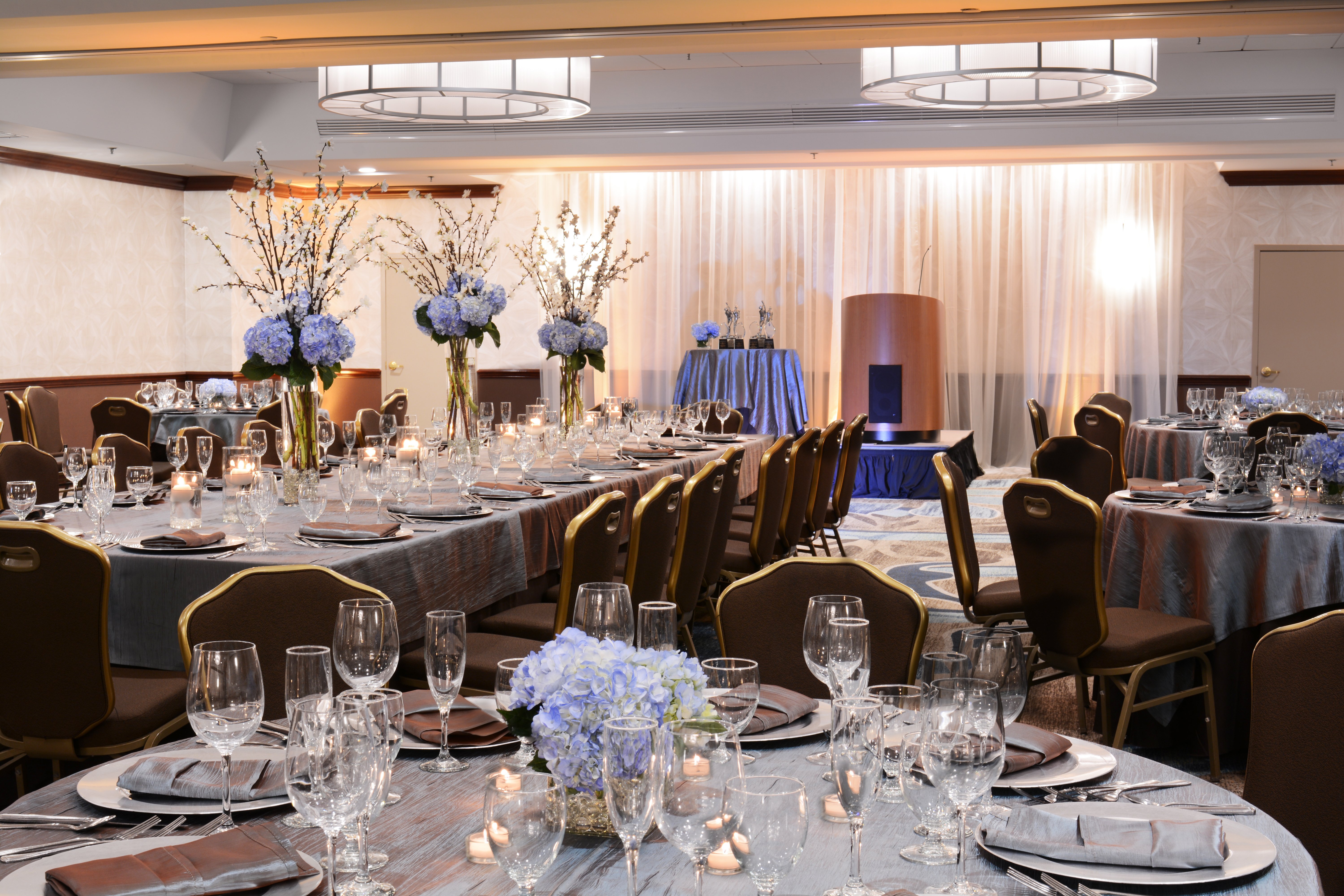 Crowne Plaza Crystal City Washington D C 15/32