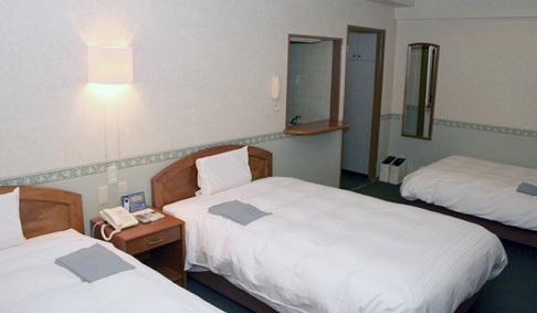 Semi Room, Standard, Triple, 2 Semi Double Beds, Smoking