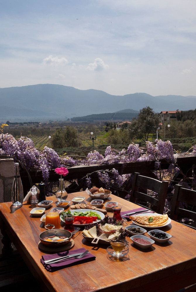 Vinifera Vineyards Hotel 40/50