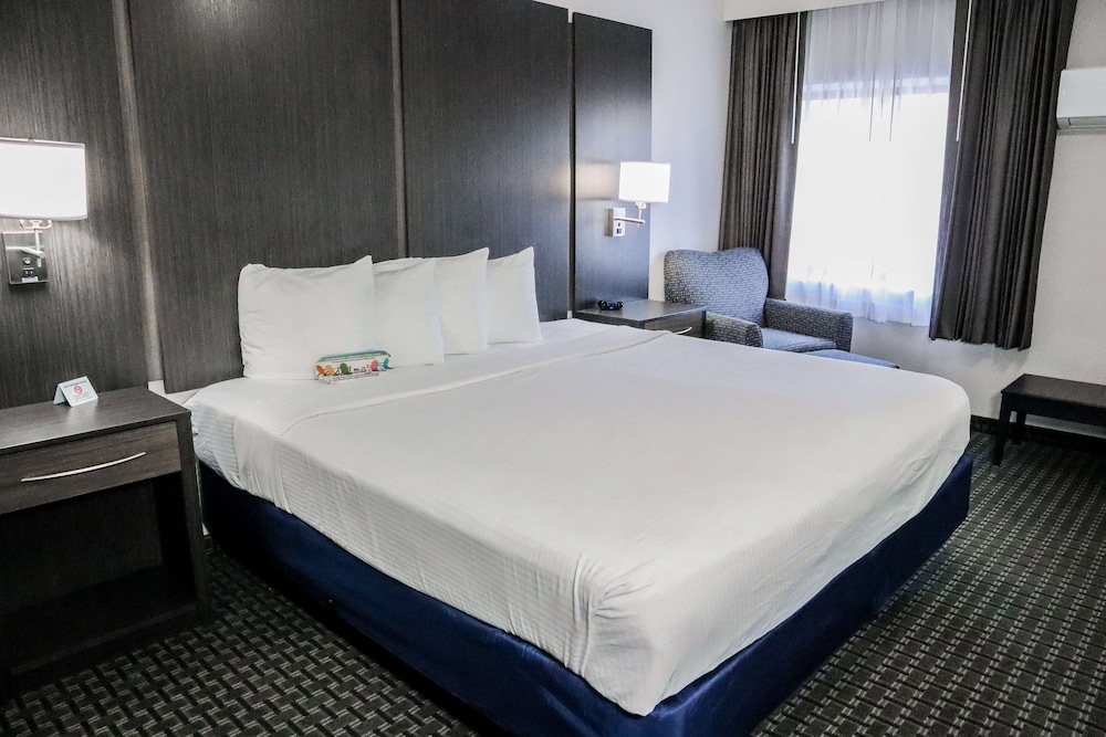 Best Western Ocala Park Centre 8/41