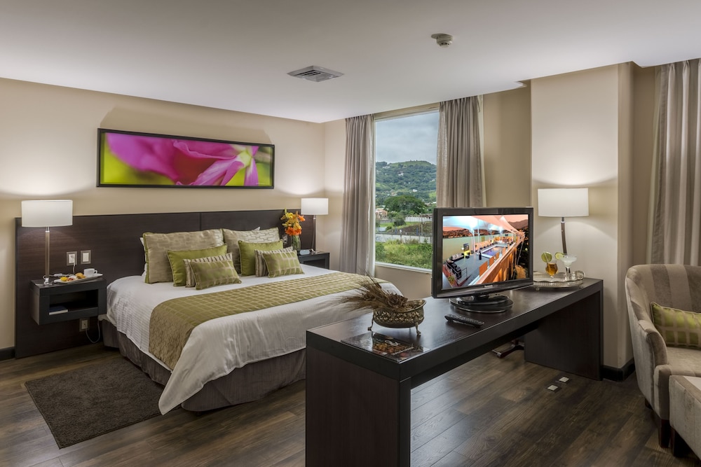 Studio Hotel Boutique 26/75