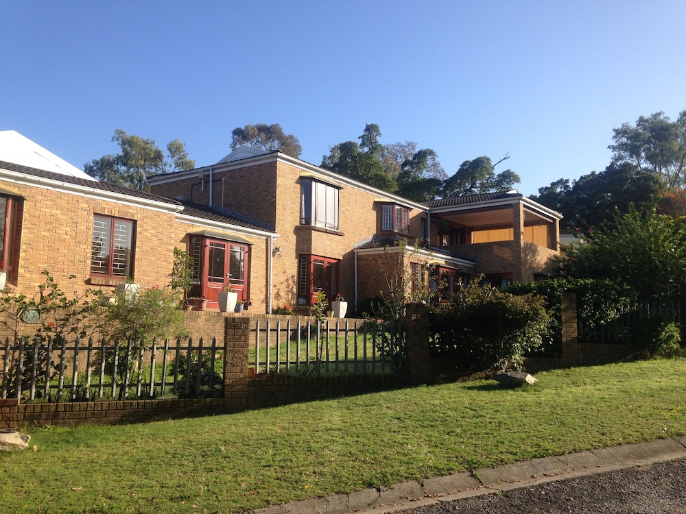 Blue Fern of Knysna 46/50