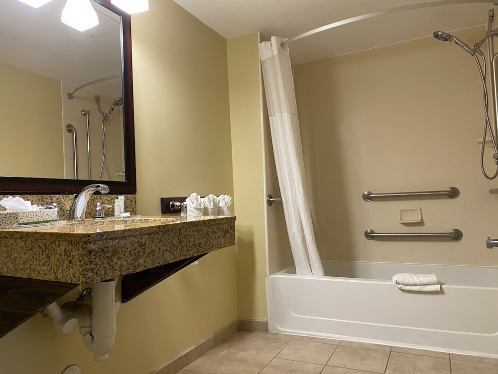 Quality Inn Flamingo 17/40