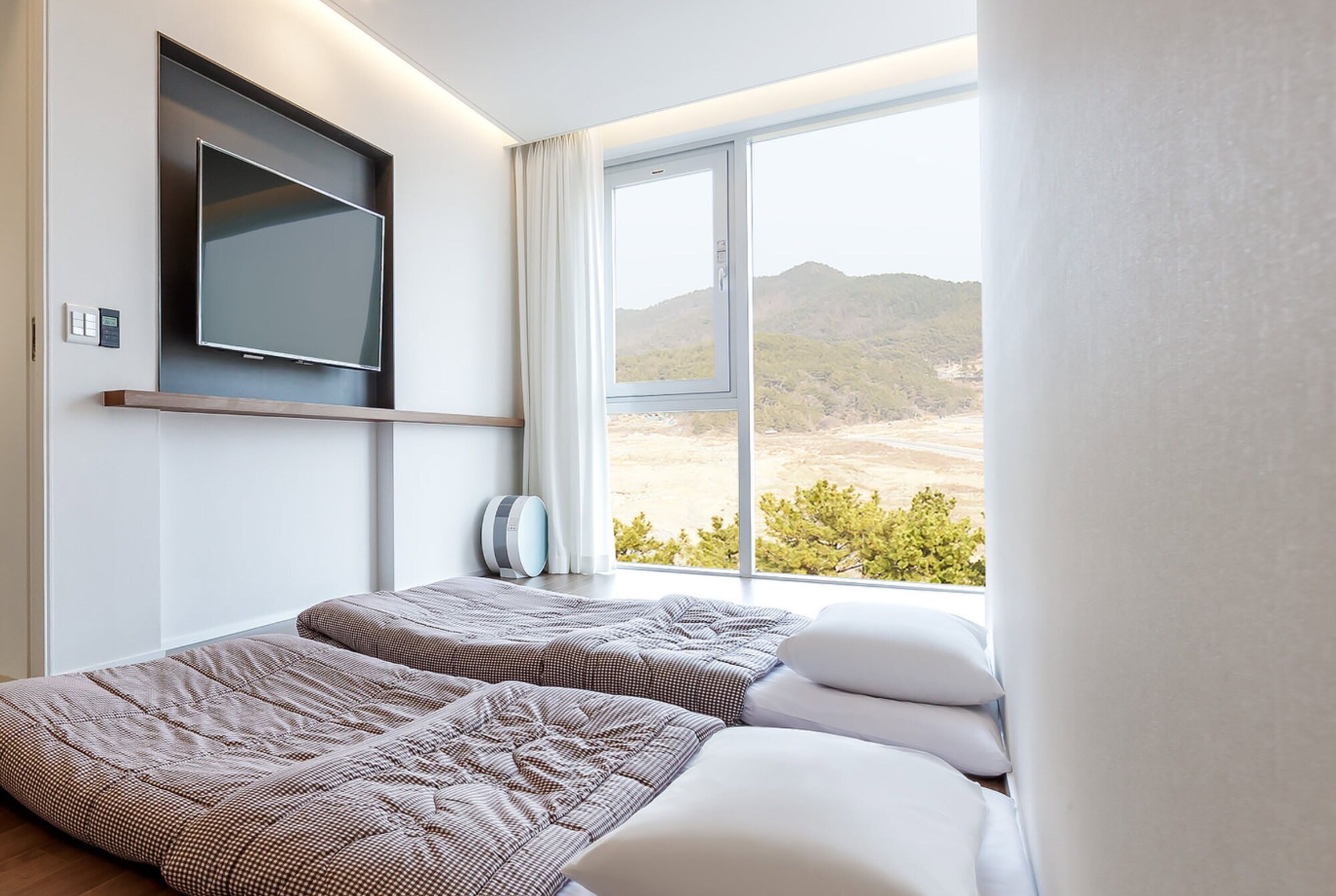 Cove, Korean, Suite