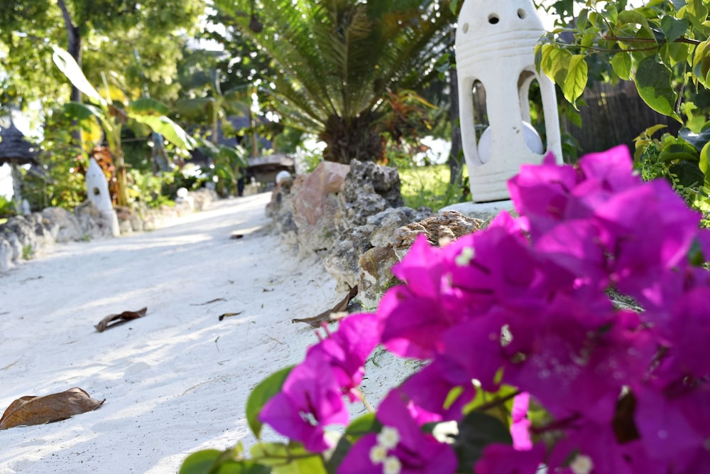 Aya Beach Bungalows 40/50