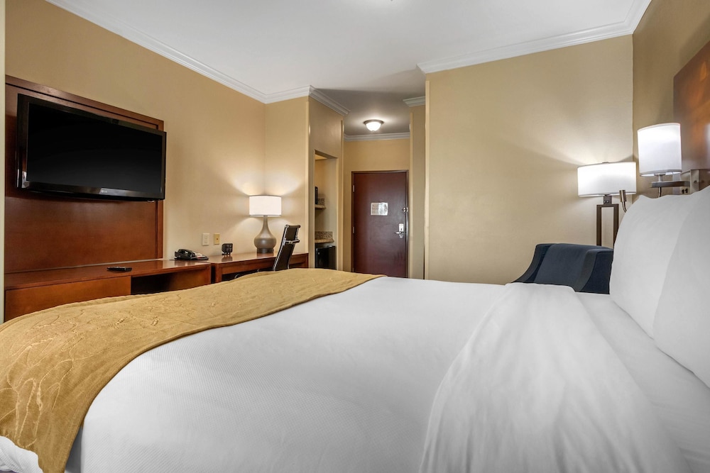 Comfort Suites Corpus Christi Central 11/34