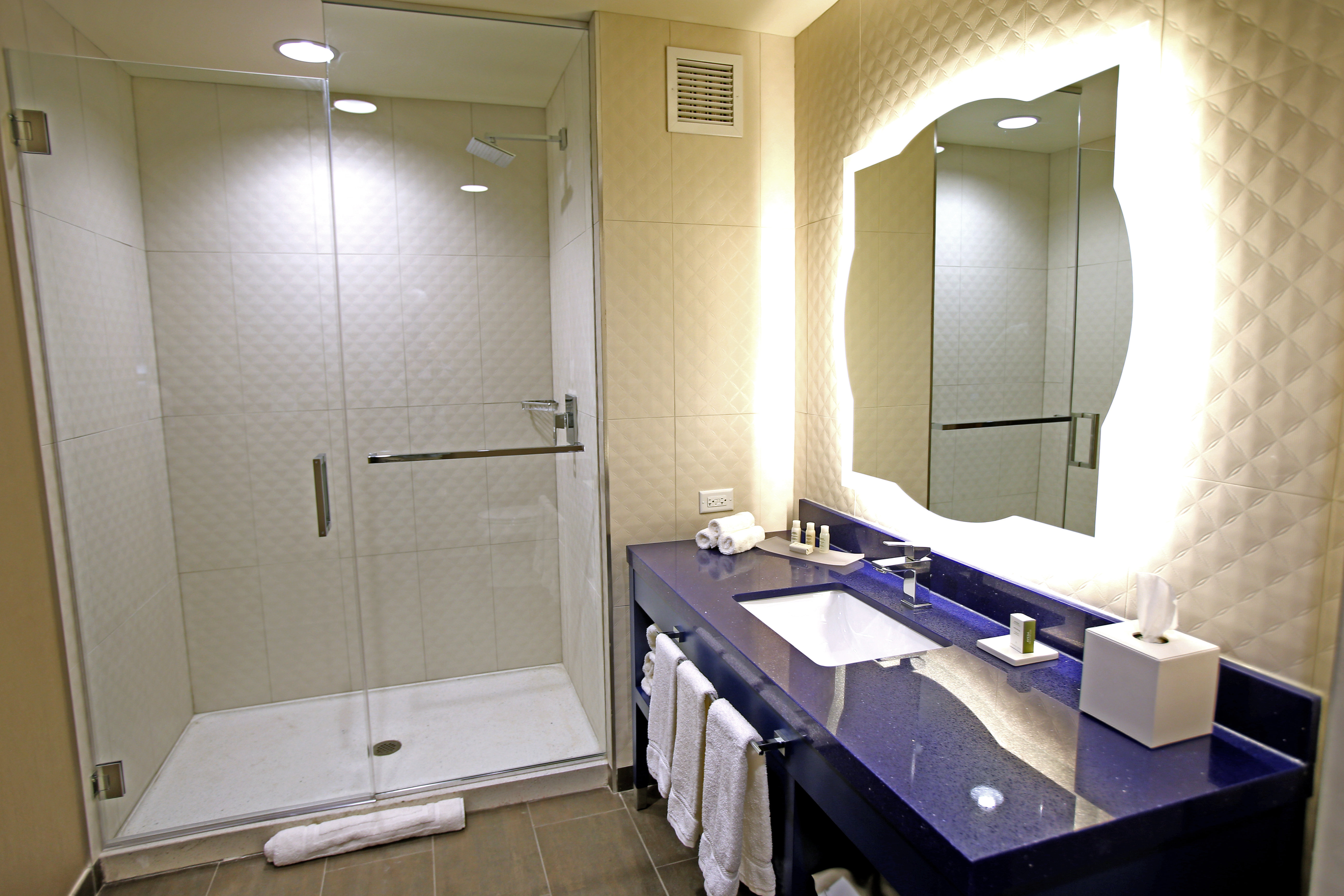 HOTEL INDIGO NAPERVILLE RIVERWALK 75/78