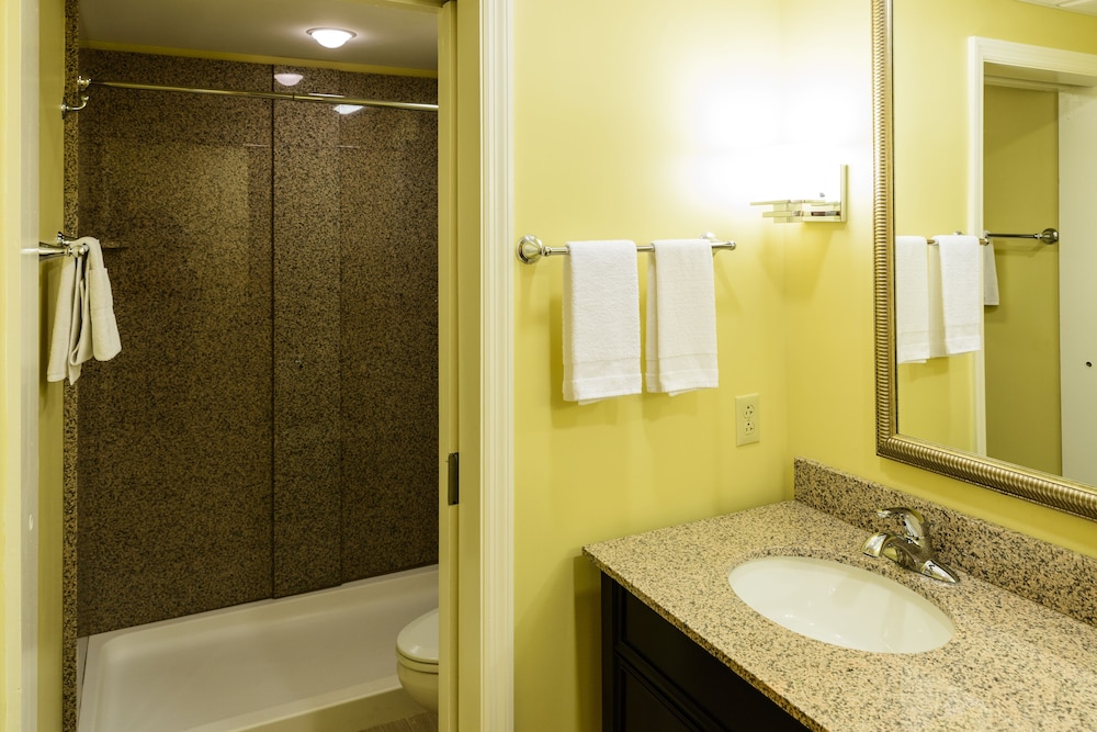 Executive, Suite, King Bed, Sofa