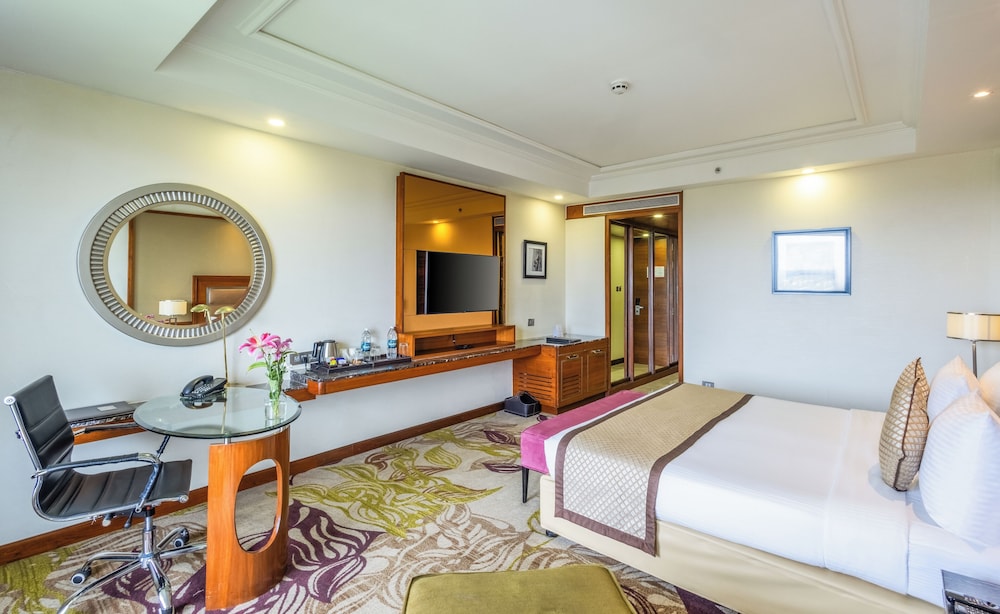Sayaji Hotel 29/36