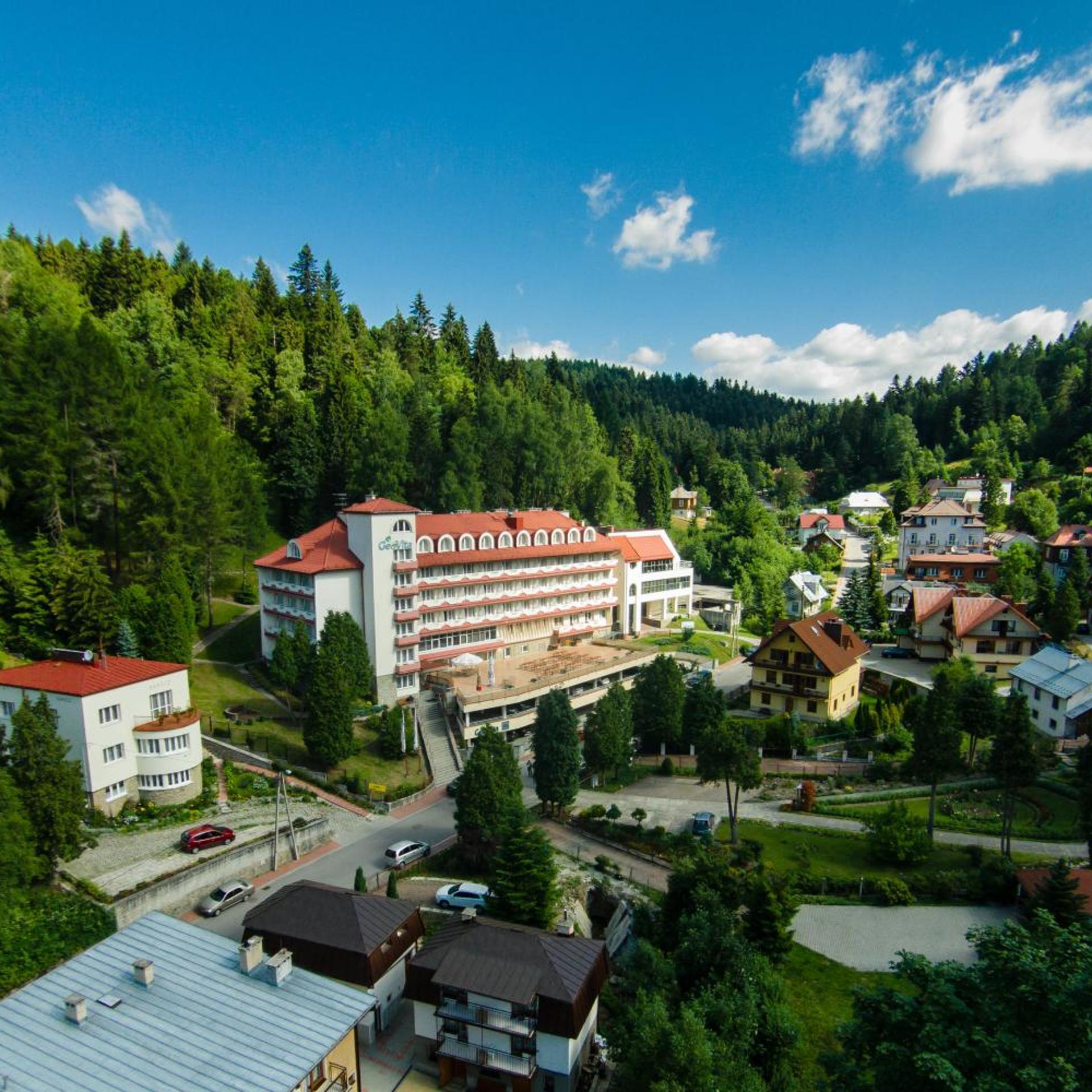 Geovita Krynica 7/60