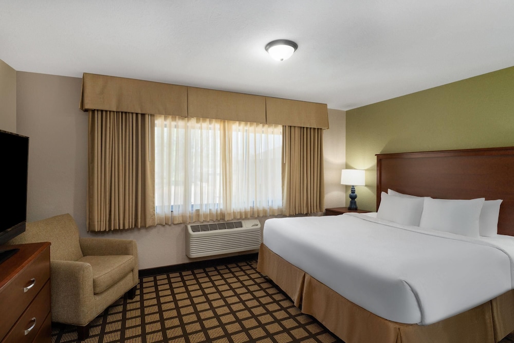 1 Bedroom, Suite, King Bed