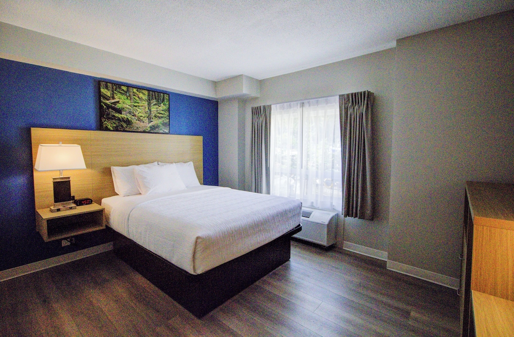 ROOM, QUEEN BED, ACCESSIBLE