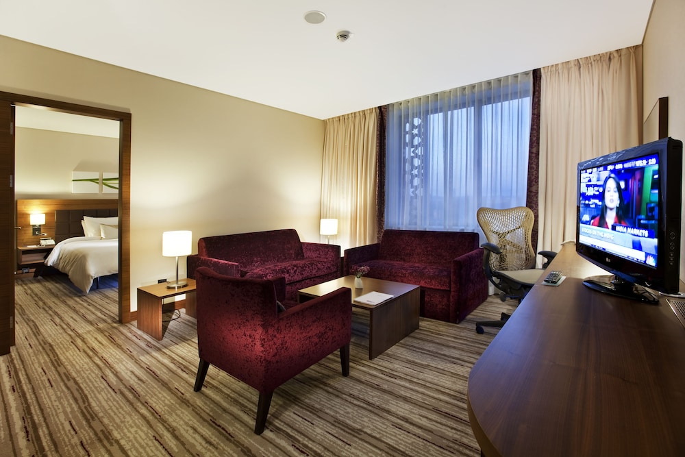 Hilton Garden Inn Konya Turkey 30/47