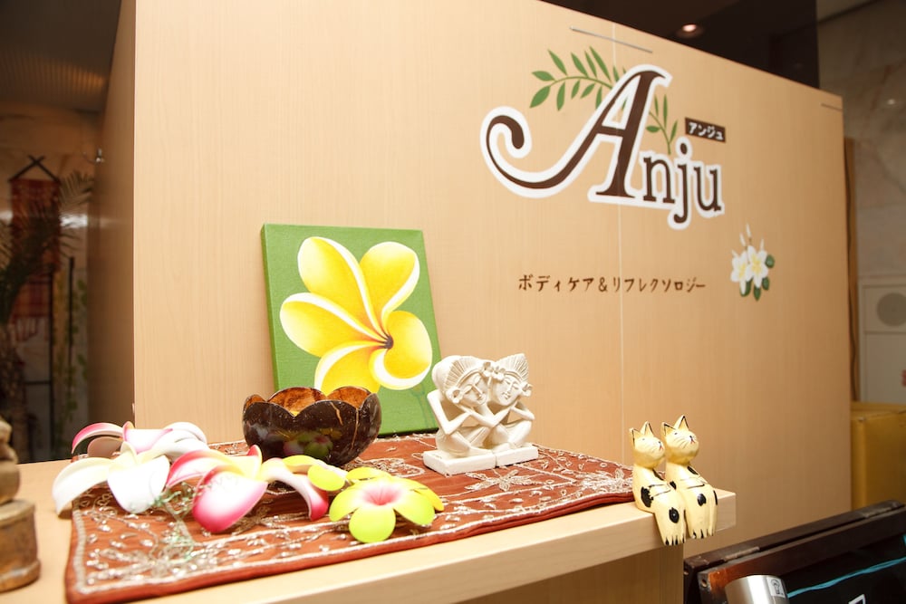 Kyoto Plaza Hotel Annex 25/45