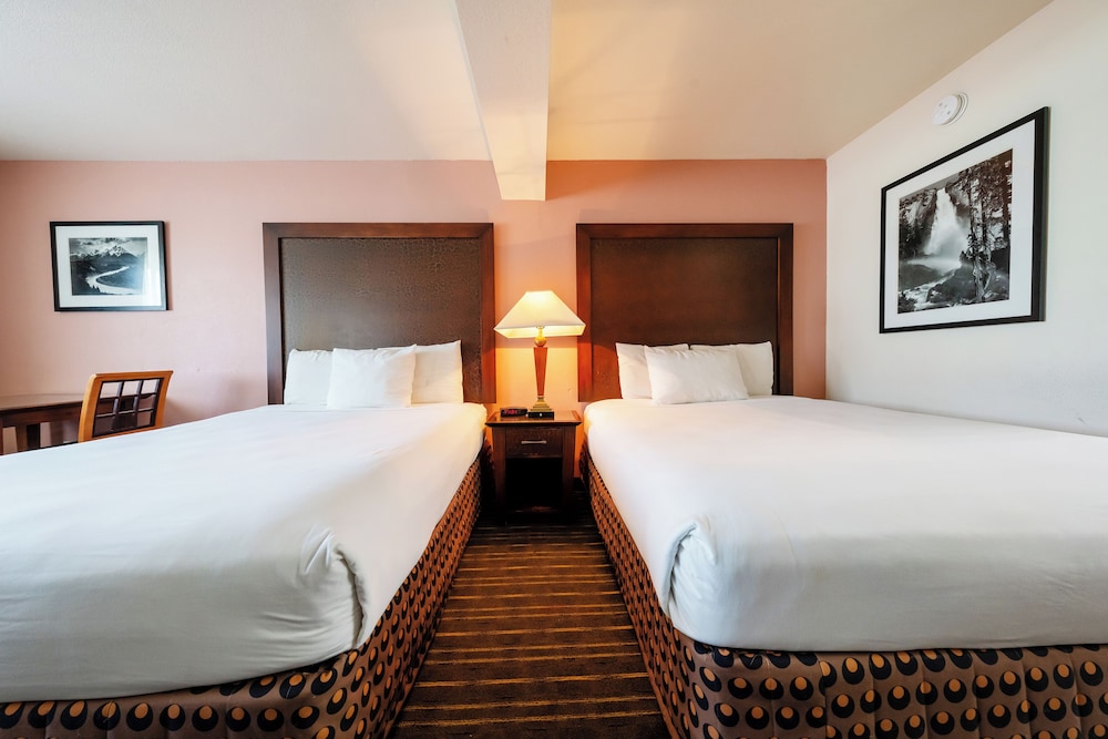 District Hotel 18/50