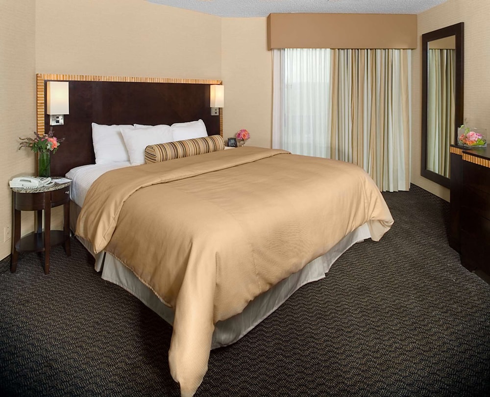 Embassy Suites by Hilton Birmingham 9/36