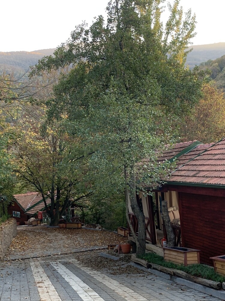 The Canyon Hotel & Resort 52/62