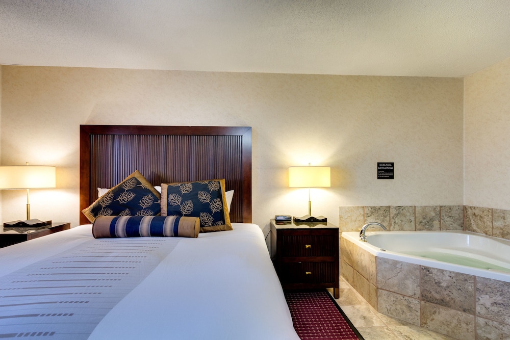 Fireside Inn & Suites 28/88