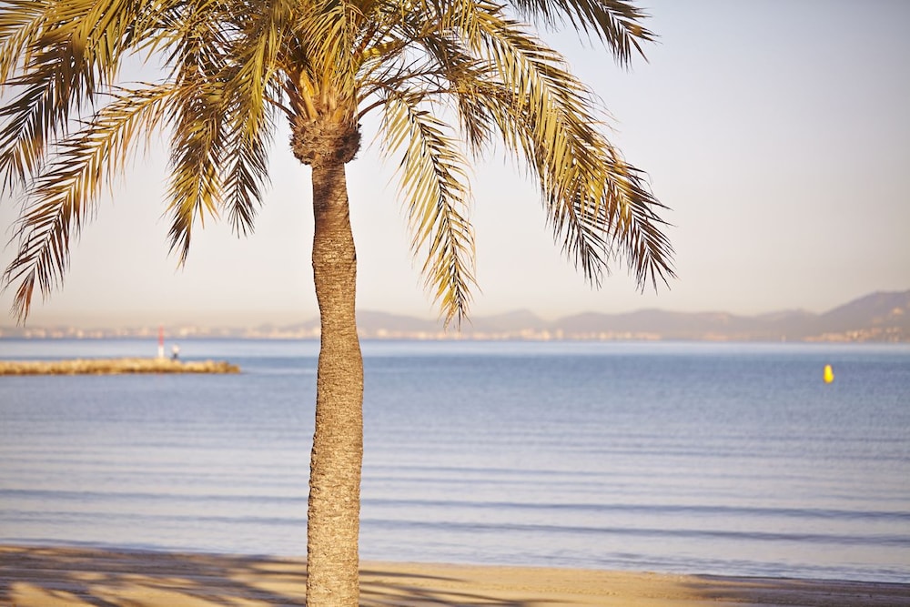 Mediterranean Bay Adults Only 38/49