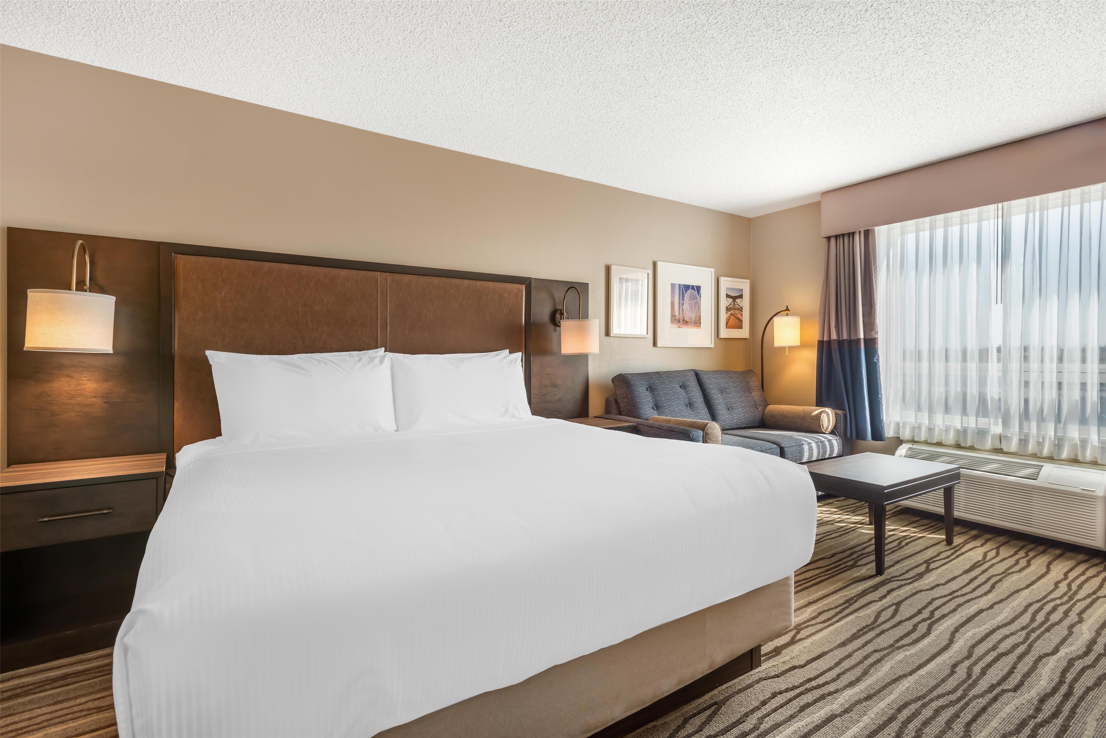 Suite, King Bed