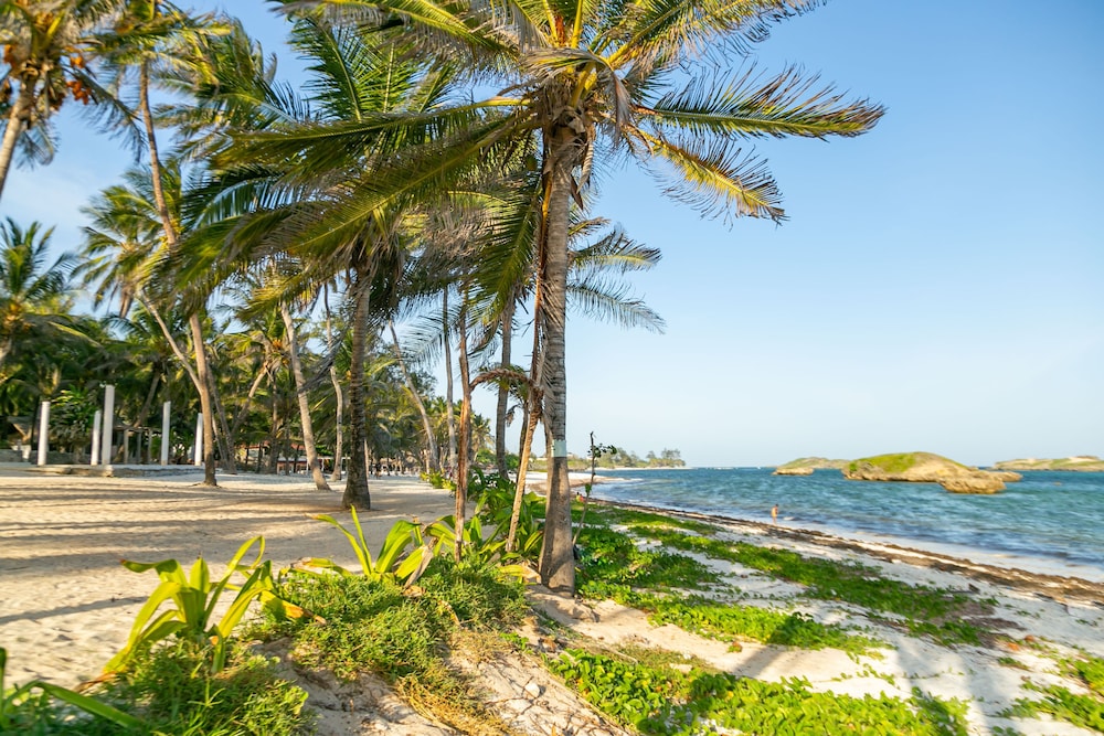 Sun Palm Beach Resort 38/50