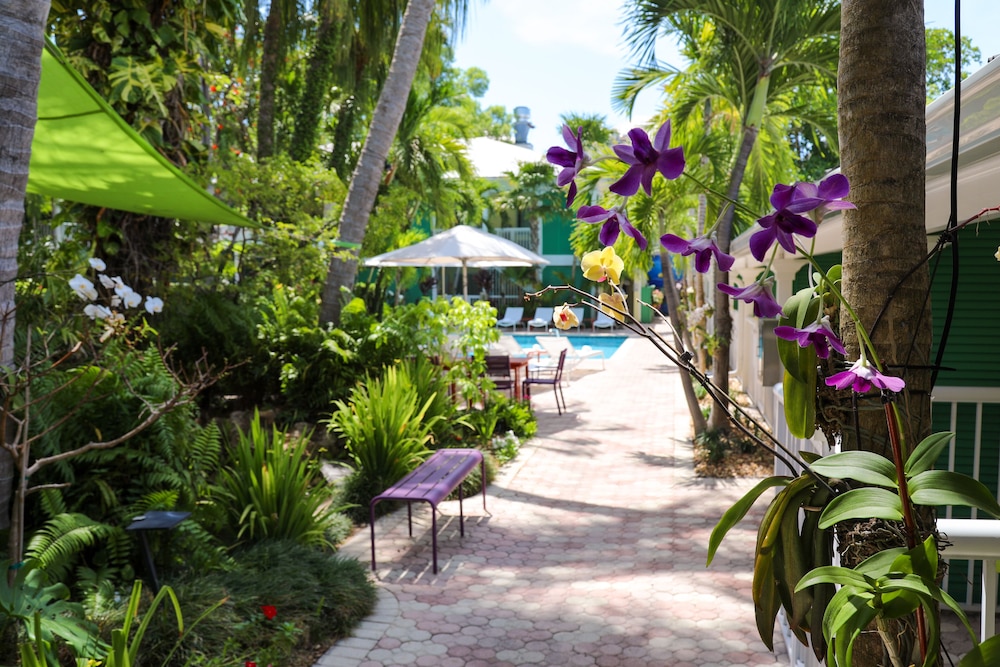 Almond Tree Inn 53/67