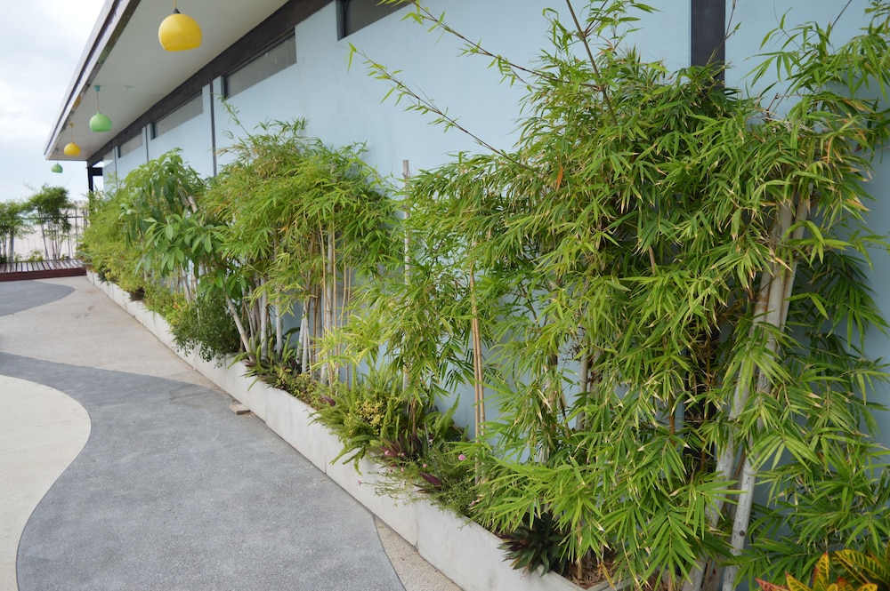 Aya Boutique Hotel Pattaya 43/48