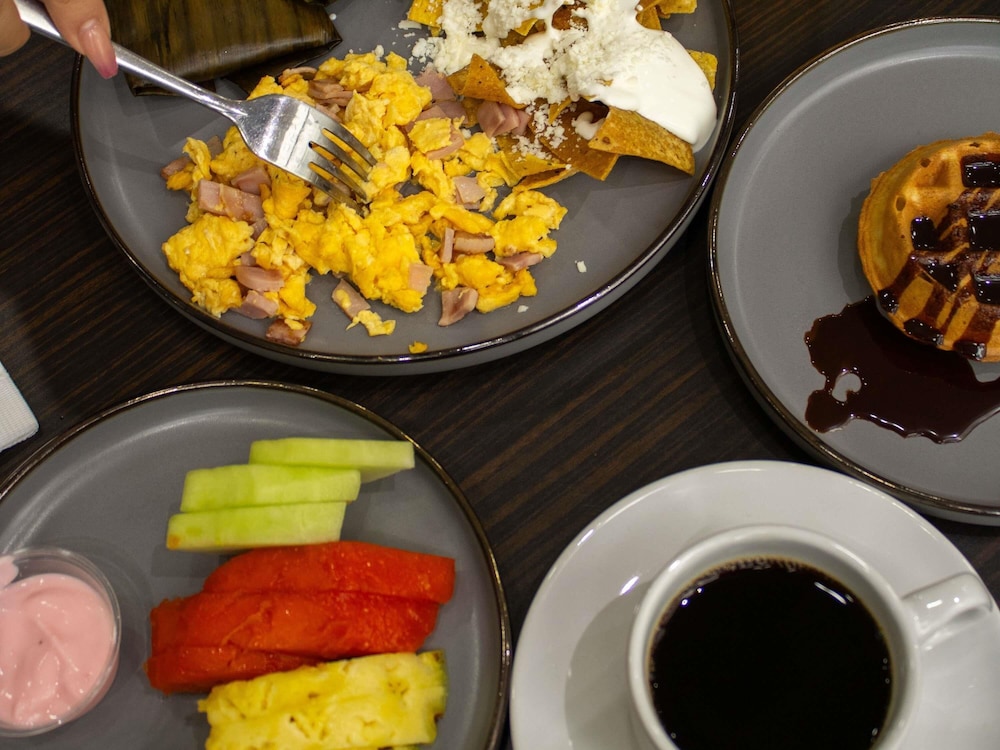 Ibis Monterrey Valle 22/50