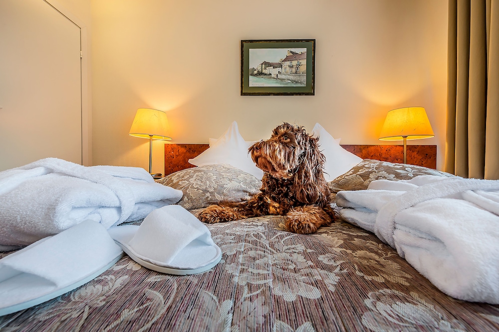 Grata by Centrum Hotels 19/47