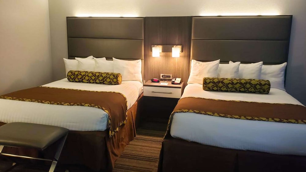 Alexis Inn and Suites Nashville Airport 14/40