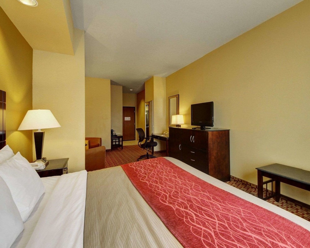 Comfort Inn & Suites Donna Near I-2 15/44