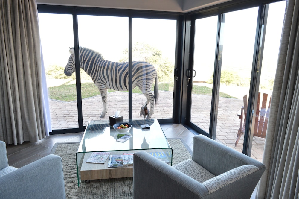 J-Bay Zebra Lodge 43/50