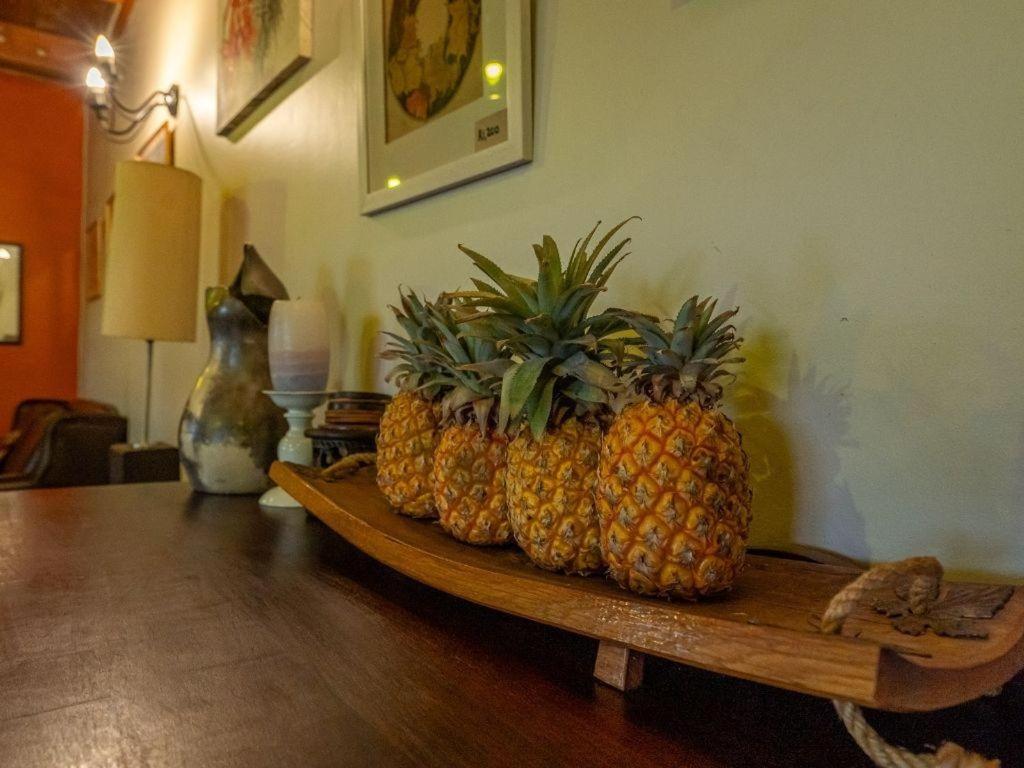 Suntouched Inn 7/17