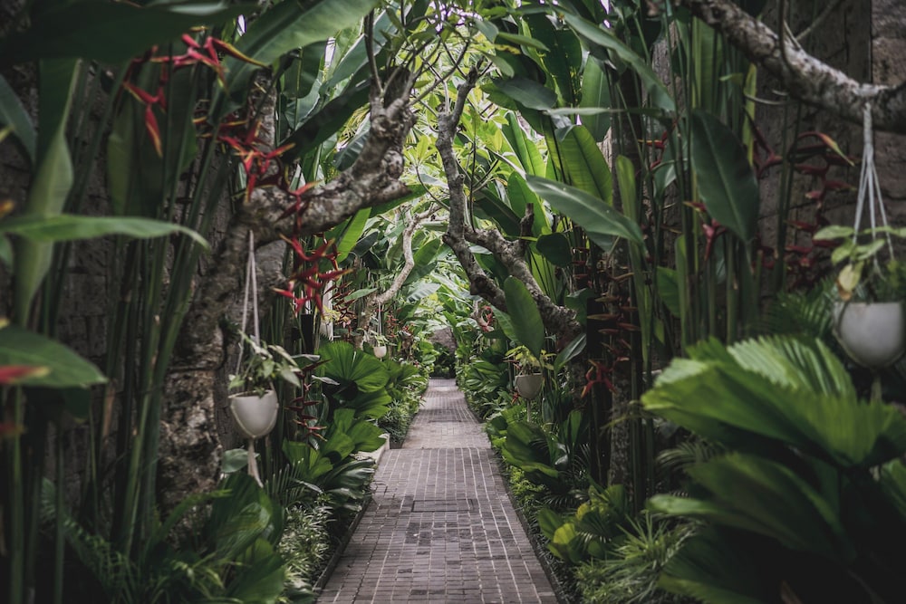 Asvara Villa Ubud by Ini Vie Hospitality 44/49