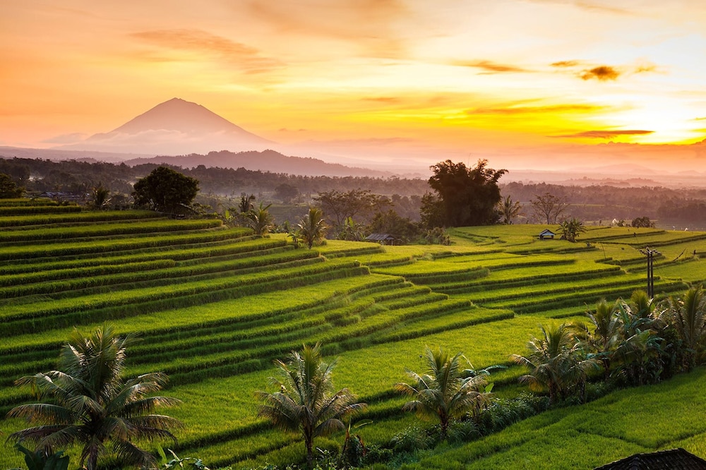Awatara Boutique Resort Ubud 38/45