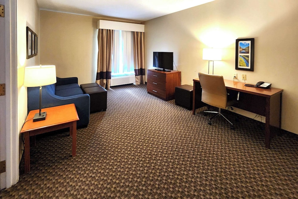 Comfort Inn & Suites Mount Pocono 35/50