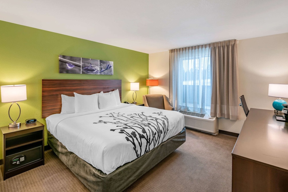 Standard, King Bed, Sleep Inn Spokane Airport 2/4