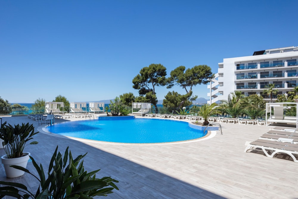Best Punta Dorada 43/50