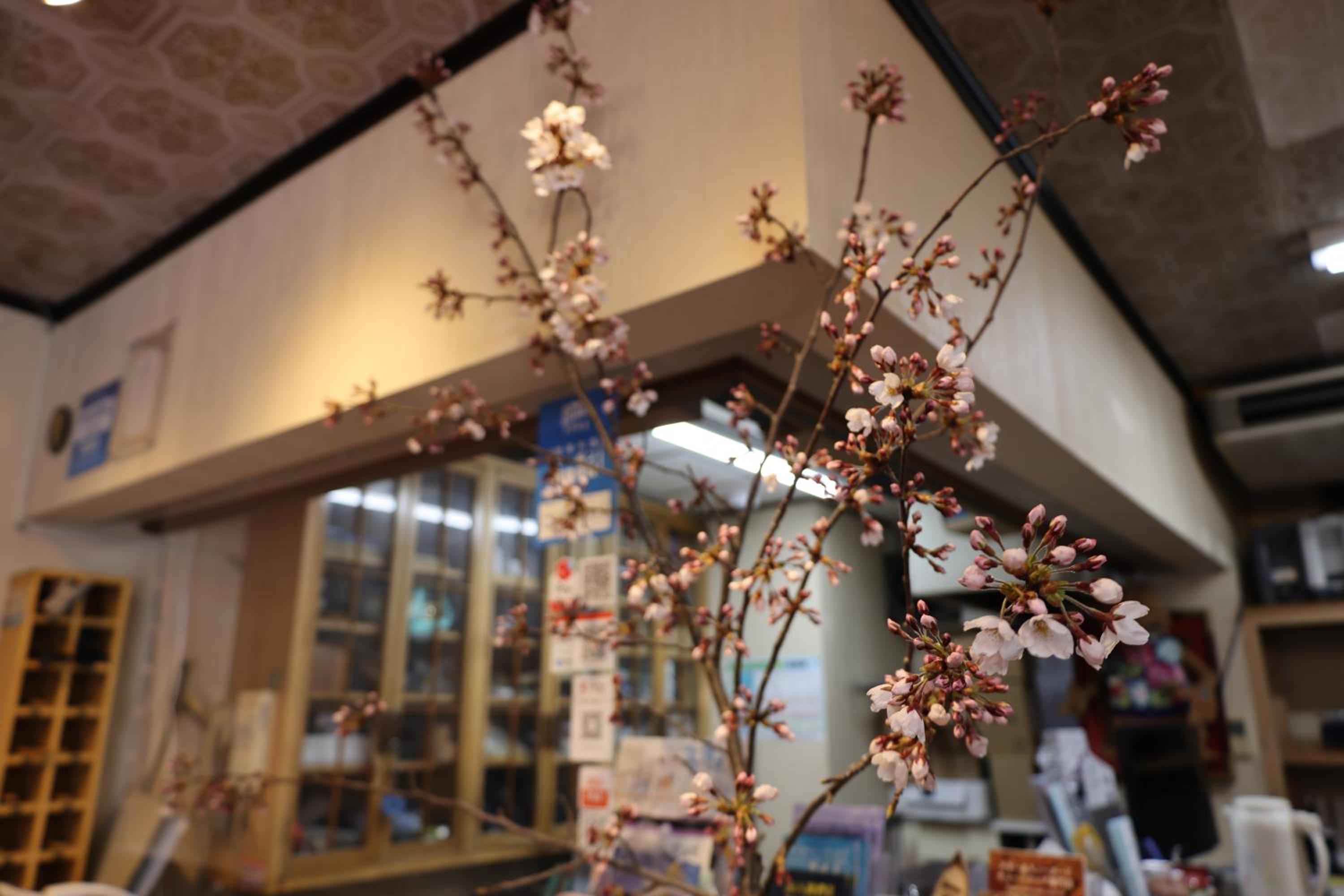 Yuzawa Ski House 5/39