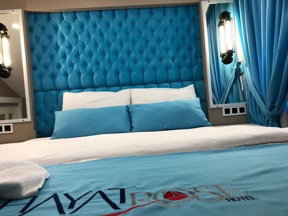 Hayat Rose Hotel 27/66