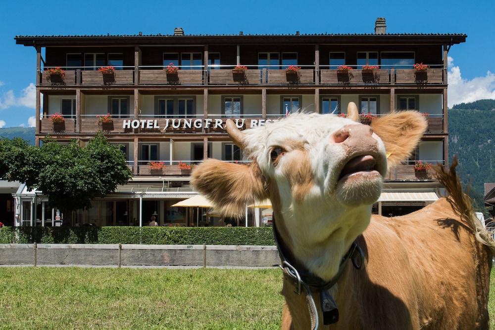 Jungfrau Hotel 48/54