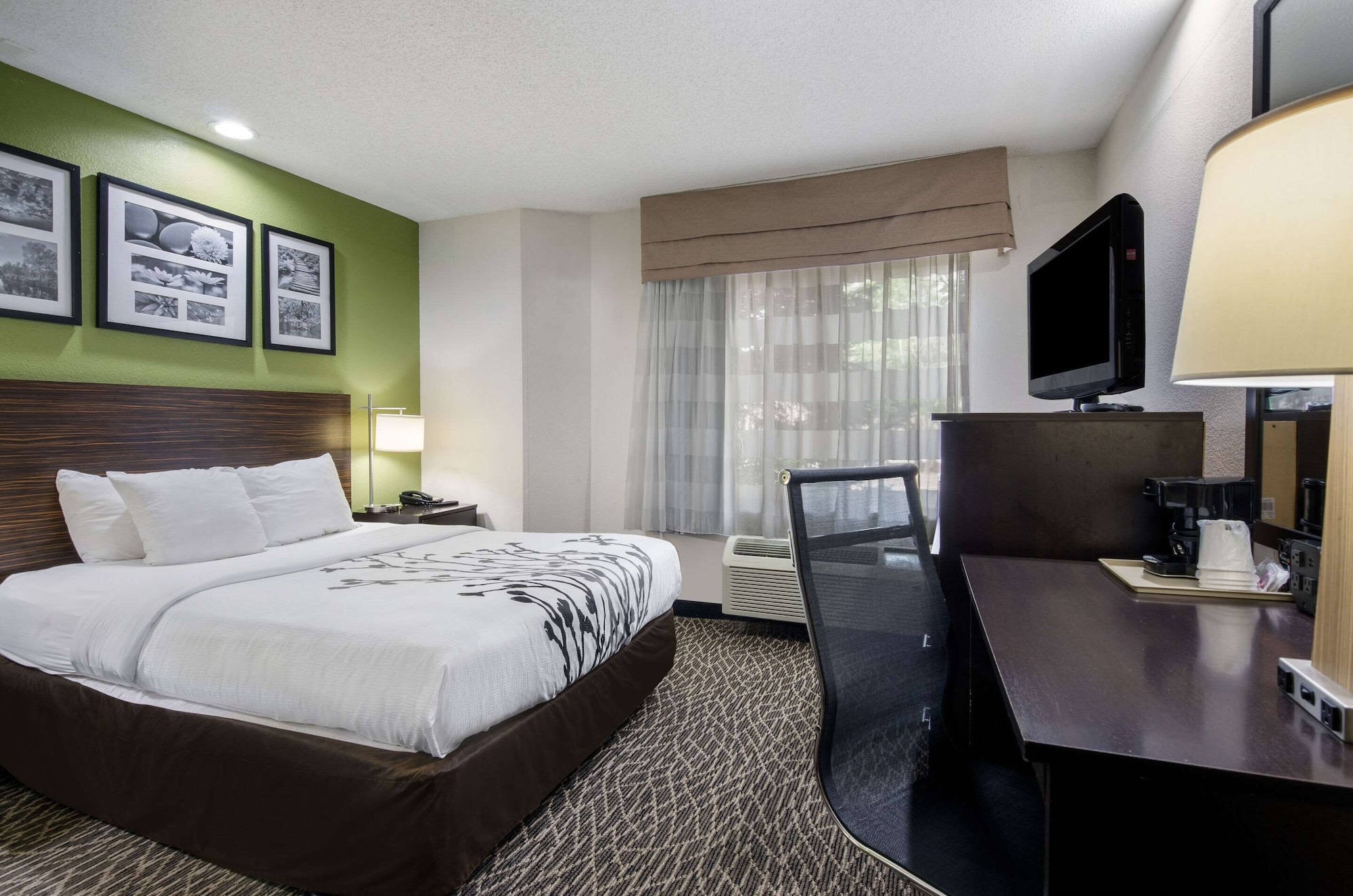 ROOM, QUEEN BED, ACCESSIBLE