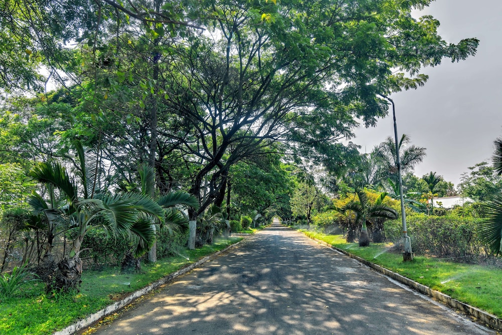 Celebrity Resort 42/50