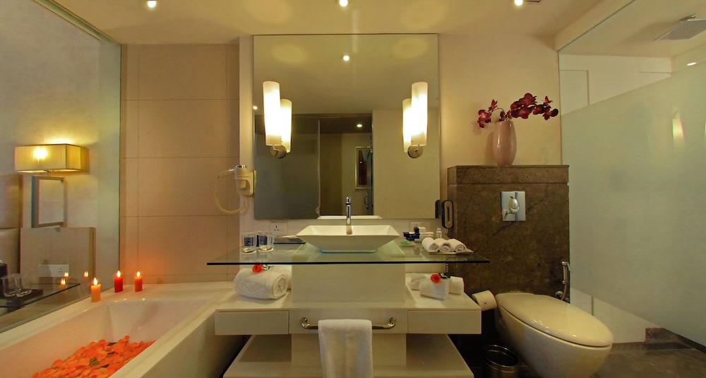 Park Plaza Faridabad. 18/64