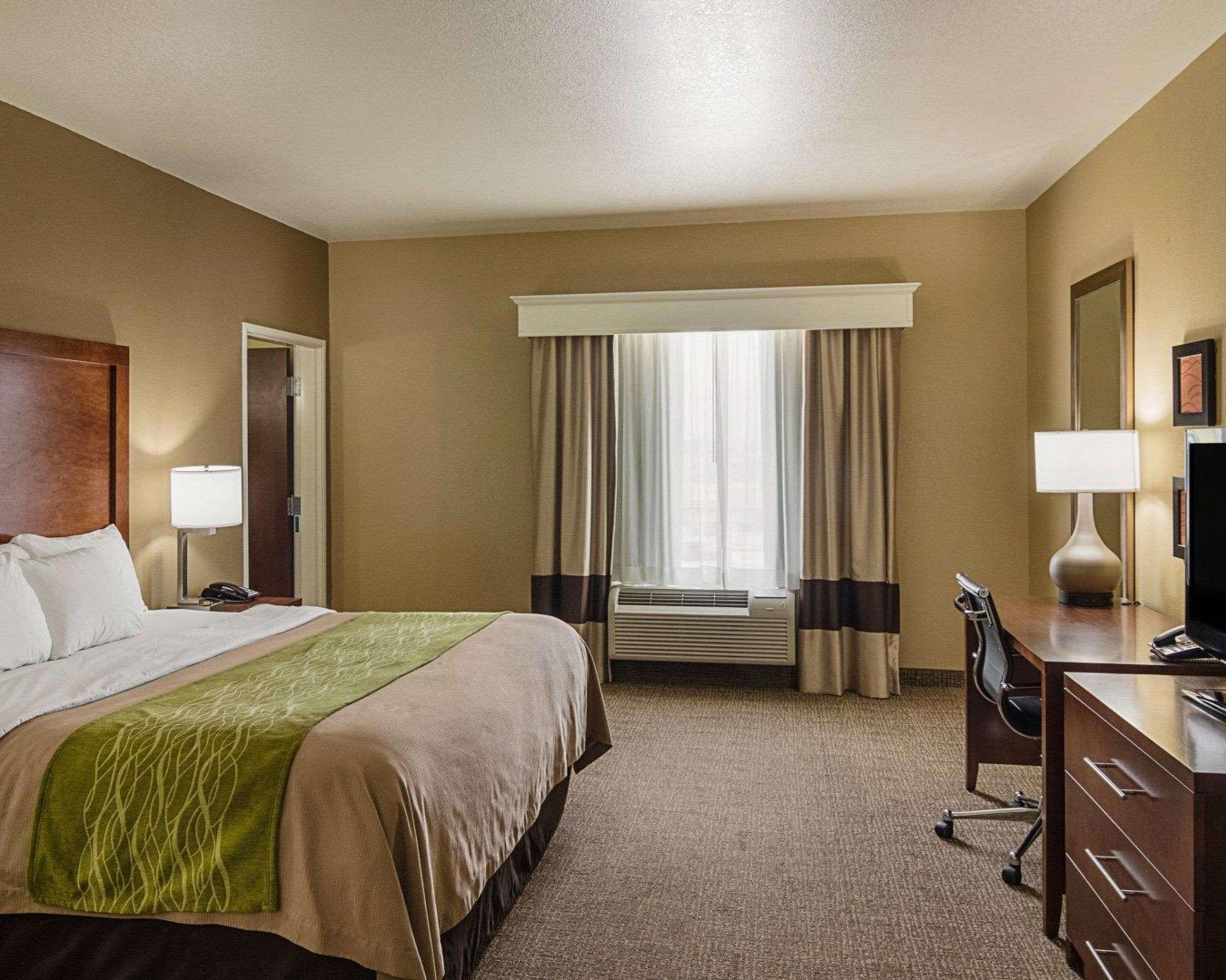 Efficiency, Suite, King Bed