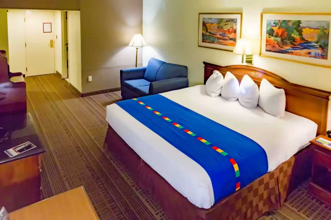 Suite, King Bed
